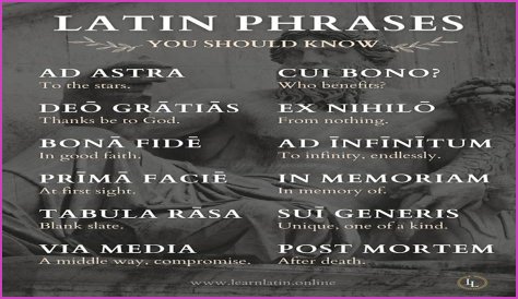 A Profile Of A Latin Beauty